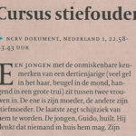 Het Stiefgezin